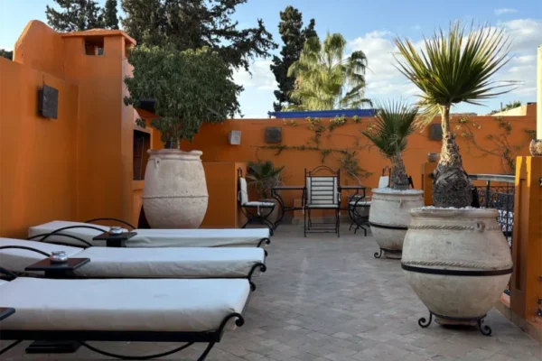 riadhermes-iconoweb-03-768x1024